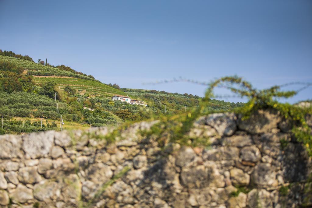Agriturismo Casa Zen San Martino Buon Albergo Buitenkant foto